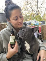 Hund und Alltag mit natunora – Bild 5
