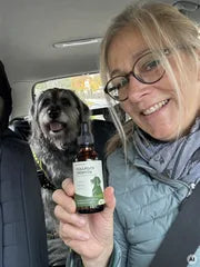 Hund und Alltag mit natunora – Bild 6