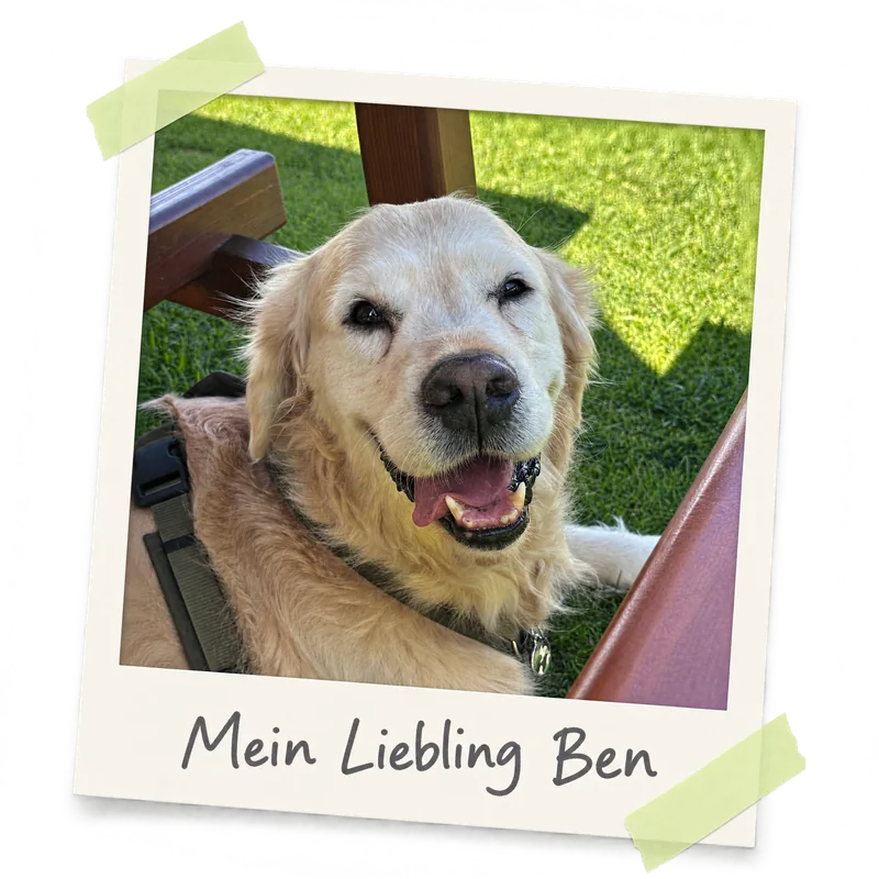 Ben, Lucas Golden Retriever, im persönlichen Fotorahmen