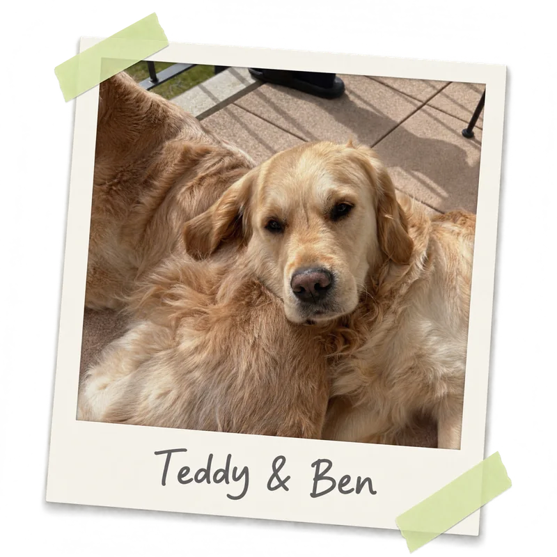 Teddy und Ben zusammen auf einem Foto mit der Bildunterschrift Teddy & Ben.