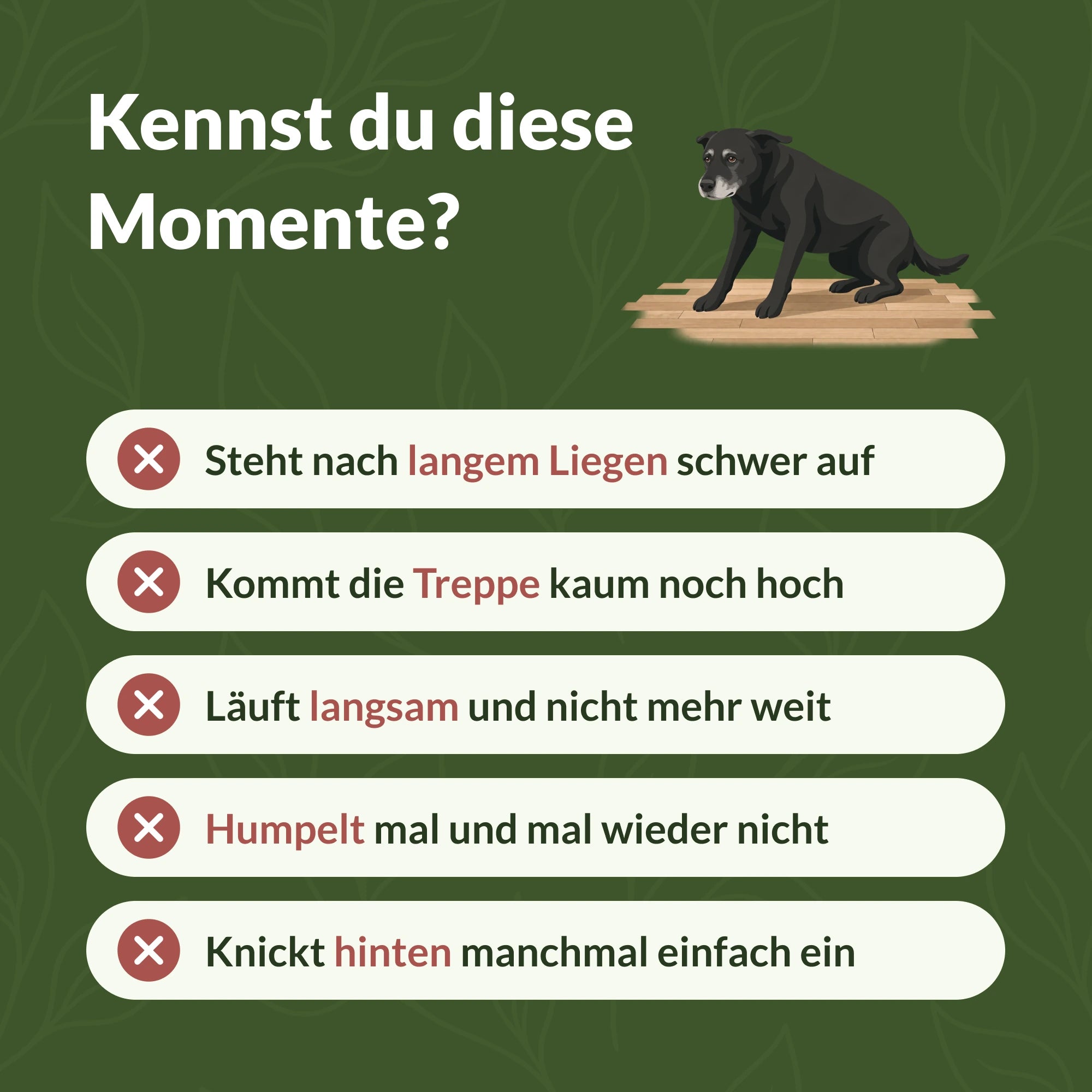 Kennst du diese Momente? Typische Schwierigkeiten beim Aufstehen, Treppensteigen und Laufen