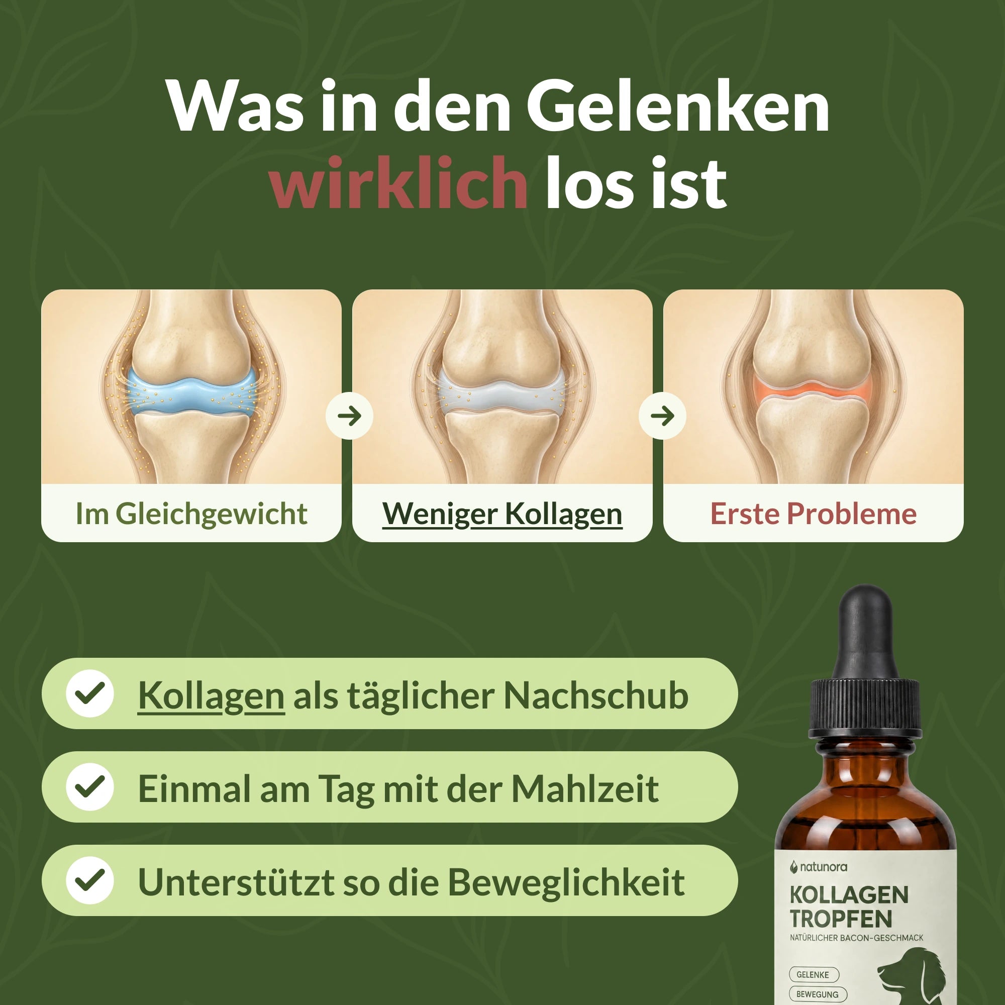 Was in den Gelenken wirklich los ist: Gelenk im Gleichgewicht, weniger Kollagen und erste Probleme; Kollagen als täglicher Nachschub