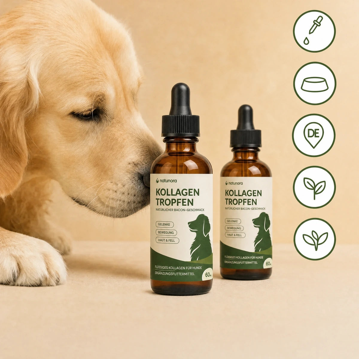 Ein Hund neben zwei Flaschen Kollagen-Tropfen und Symbolen für flüssige Darreichung und natürliche Inhaltsstoffe.