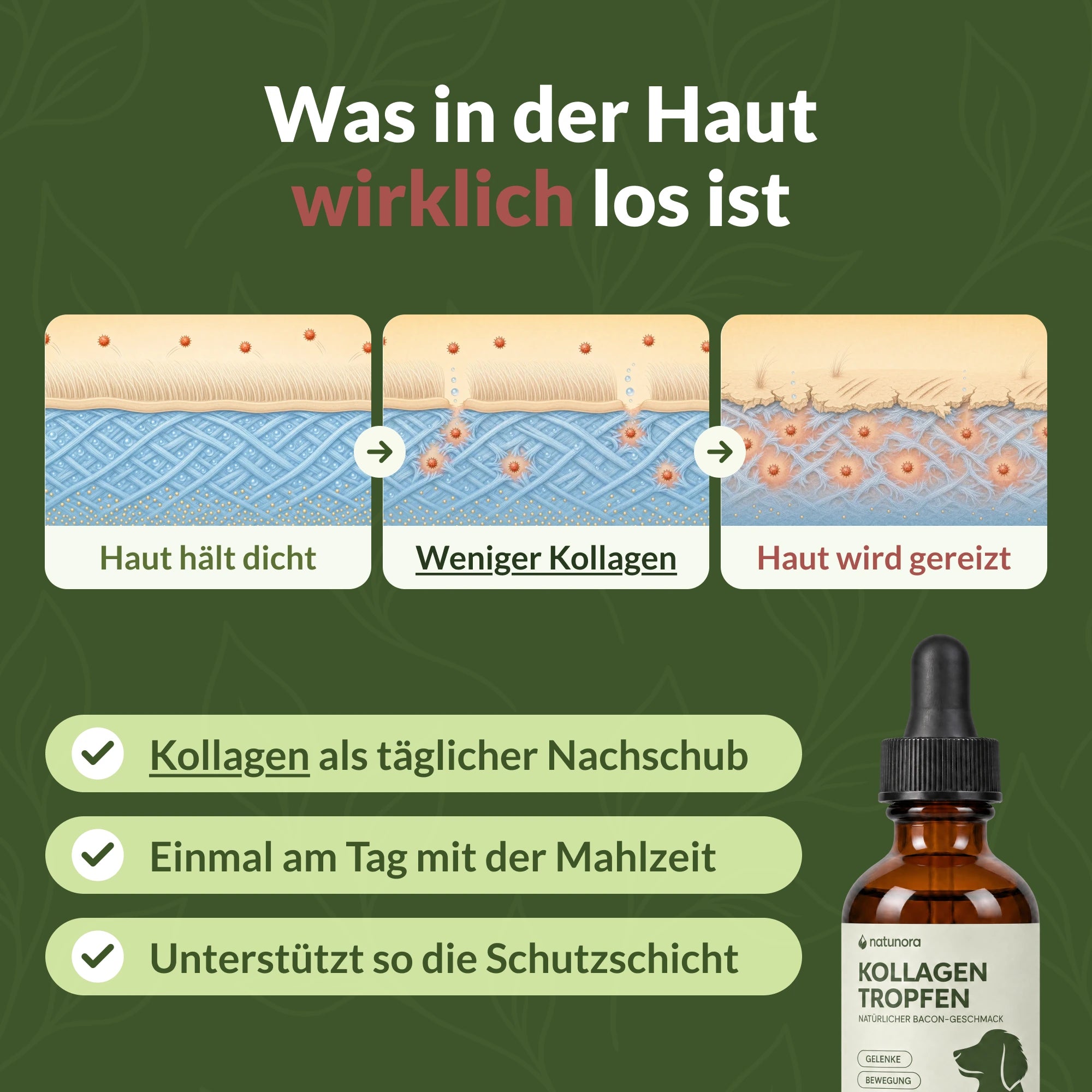 Was in der Haut wirklich los ist: dichte Haut, weniger Kollagen und gereizte Haut; Kollagen als täglicher Nachschub
