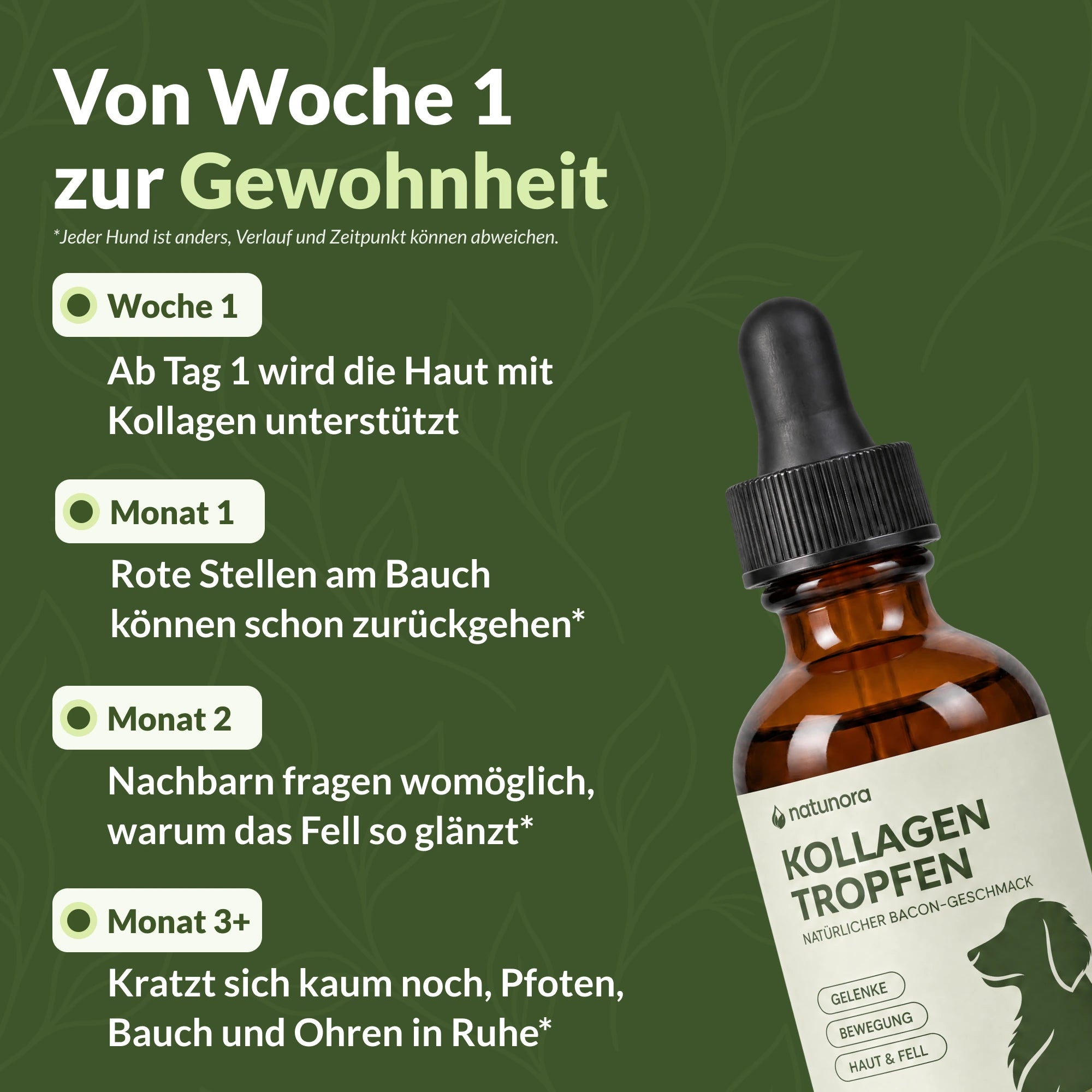 Von Woche 1 zur Gewohnheit: tägliche natunora Routine für Haut und Fell mit Stationen bis Monat 3+