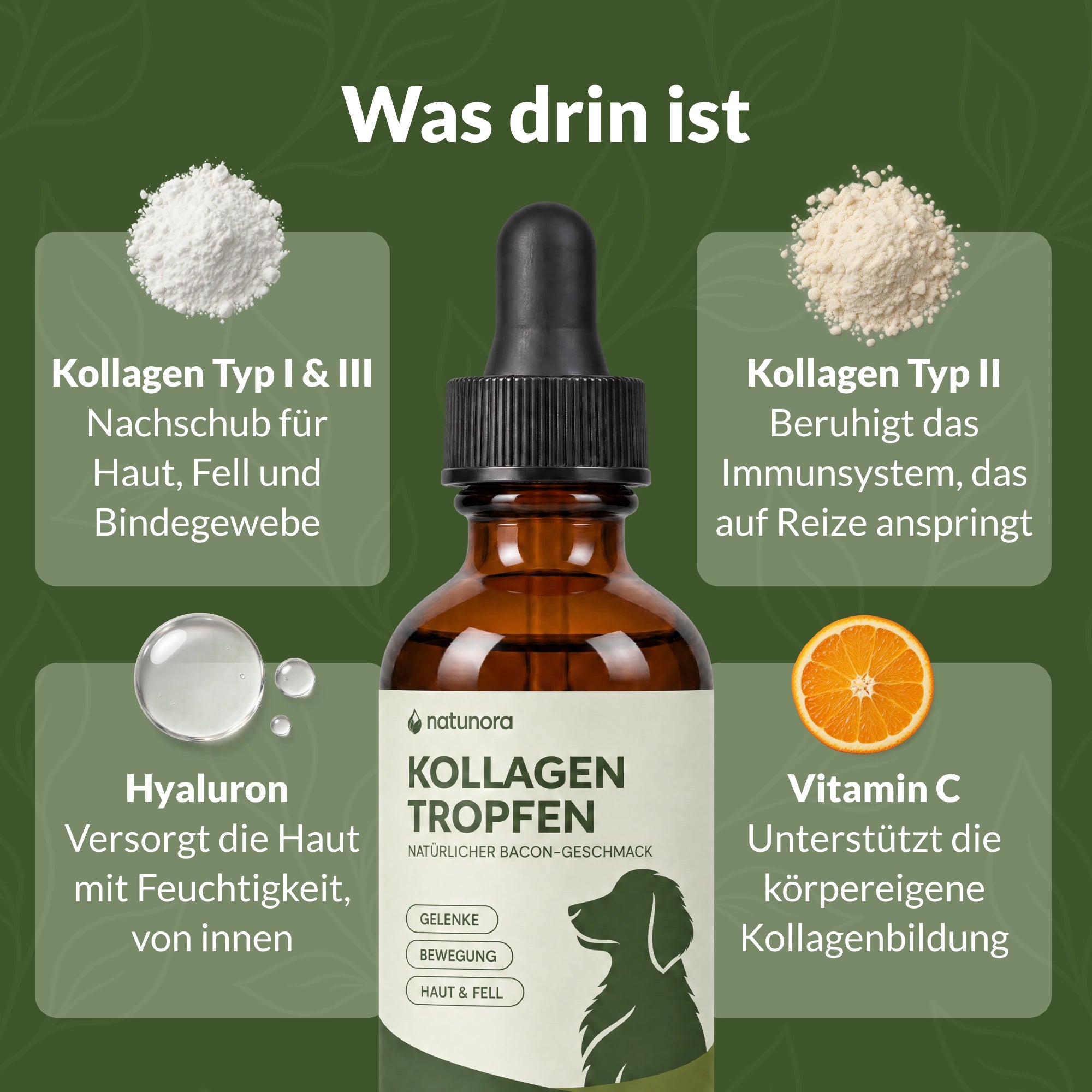 Was drin ist: Kollagen Typ I und III, Kollagen Typ II, Hyaluron und Vitamin C für die Haut