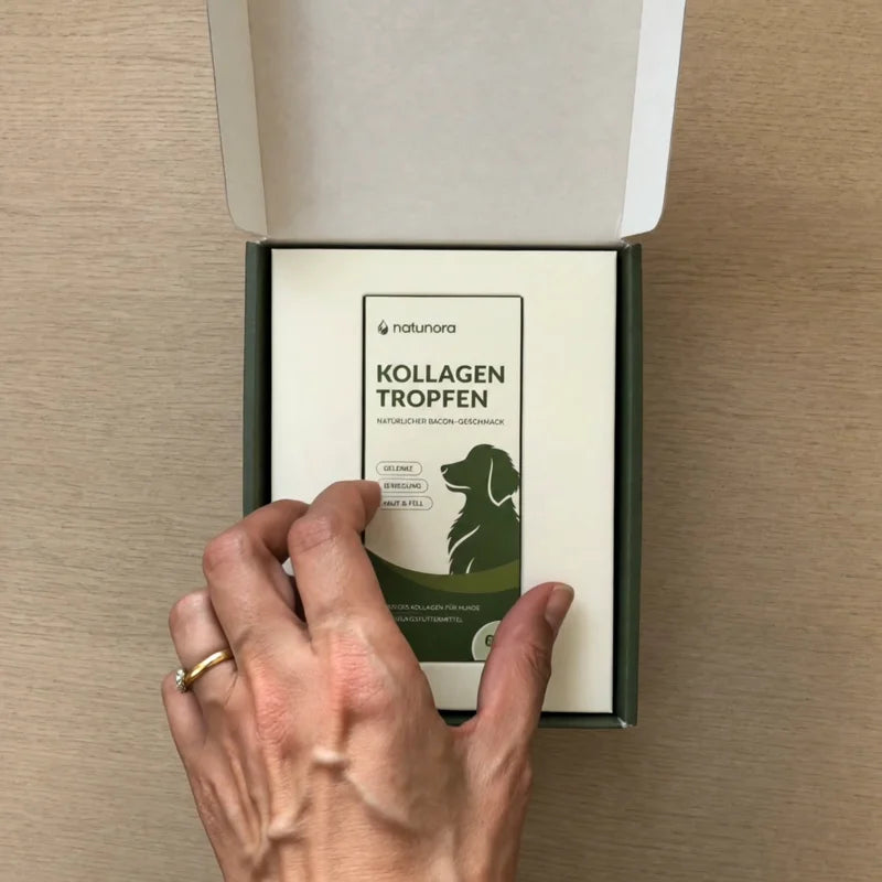 Eine Hand nimmt die natunora Kollagen-Tropfen aus der geöffneten Versandbox